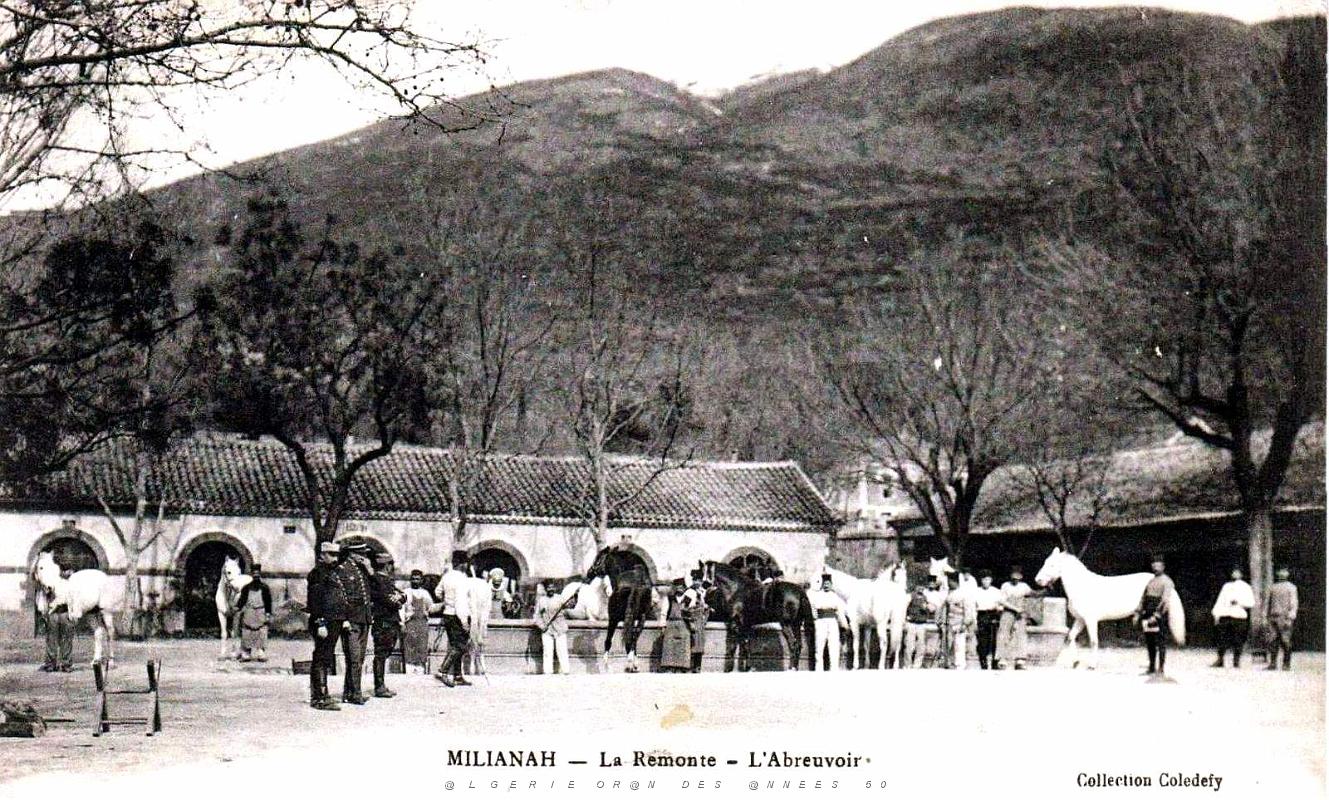 Miliana - Remonte - Abreuvoir.jpg
